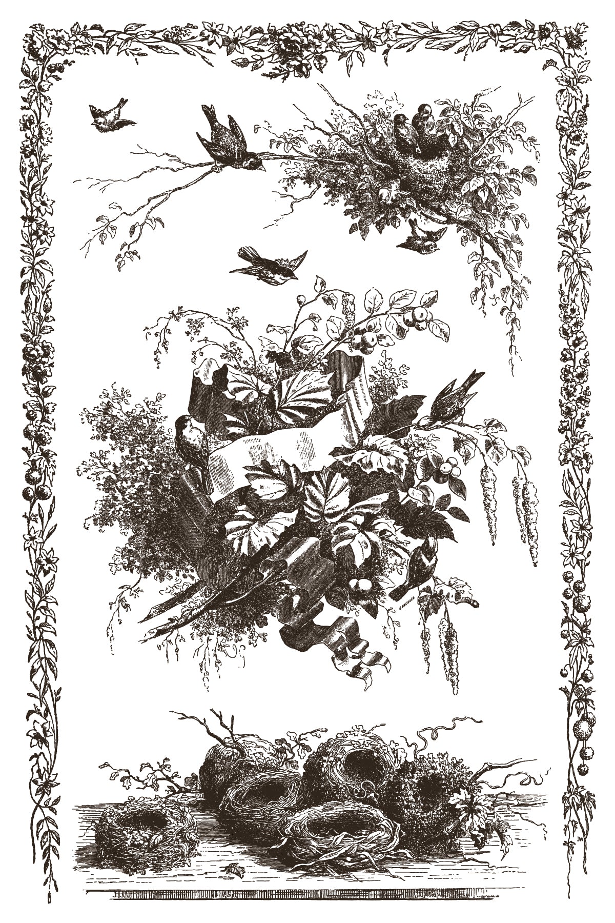 Vintage-style sepia illustration of birds and nests, framed by decorative elements from Iron Orchid Designs Little Lark inlay