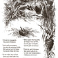 Sepia illustration of birds' nests and birds in a natural setting with text from Iron Orchid Designs Little Lark Inlay