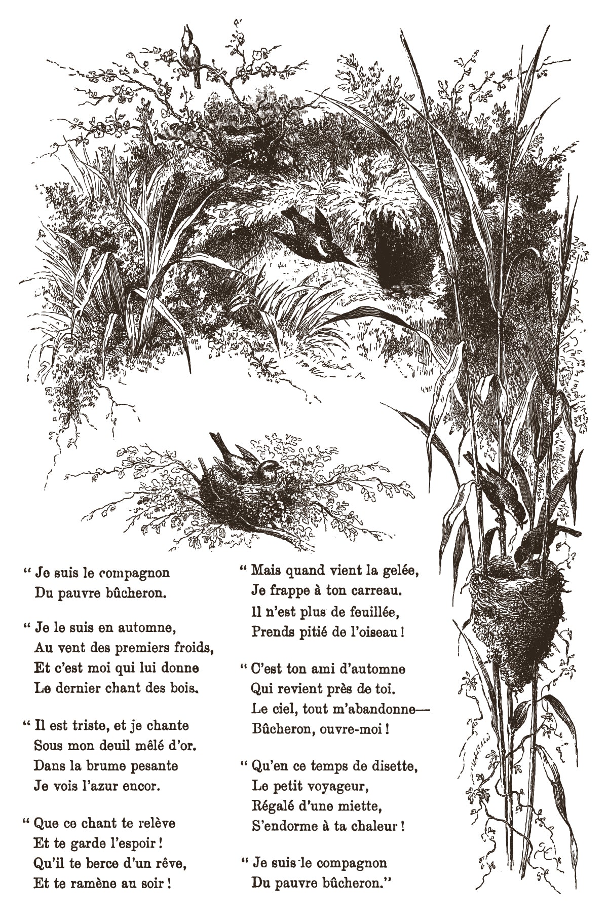 Sepia illustration of birds' nests and birds in a natural setting with text from Iron Orchid Designs Little Lark Inlay