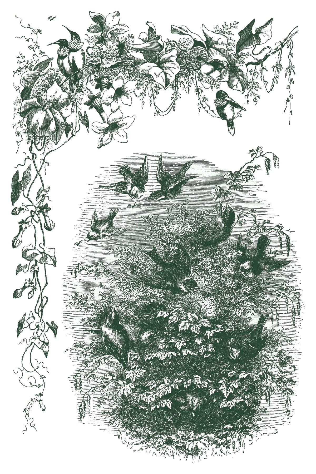 Vintage illustration in green of birds and foliage with decorative elements from Iron Orchid Designs Little lark inlay
