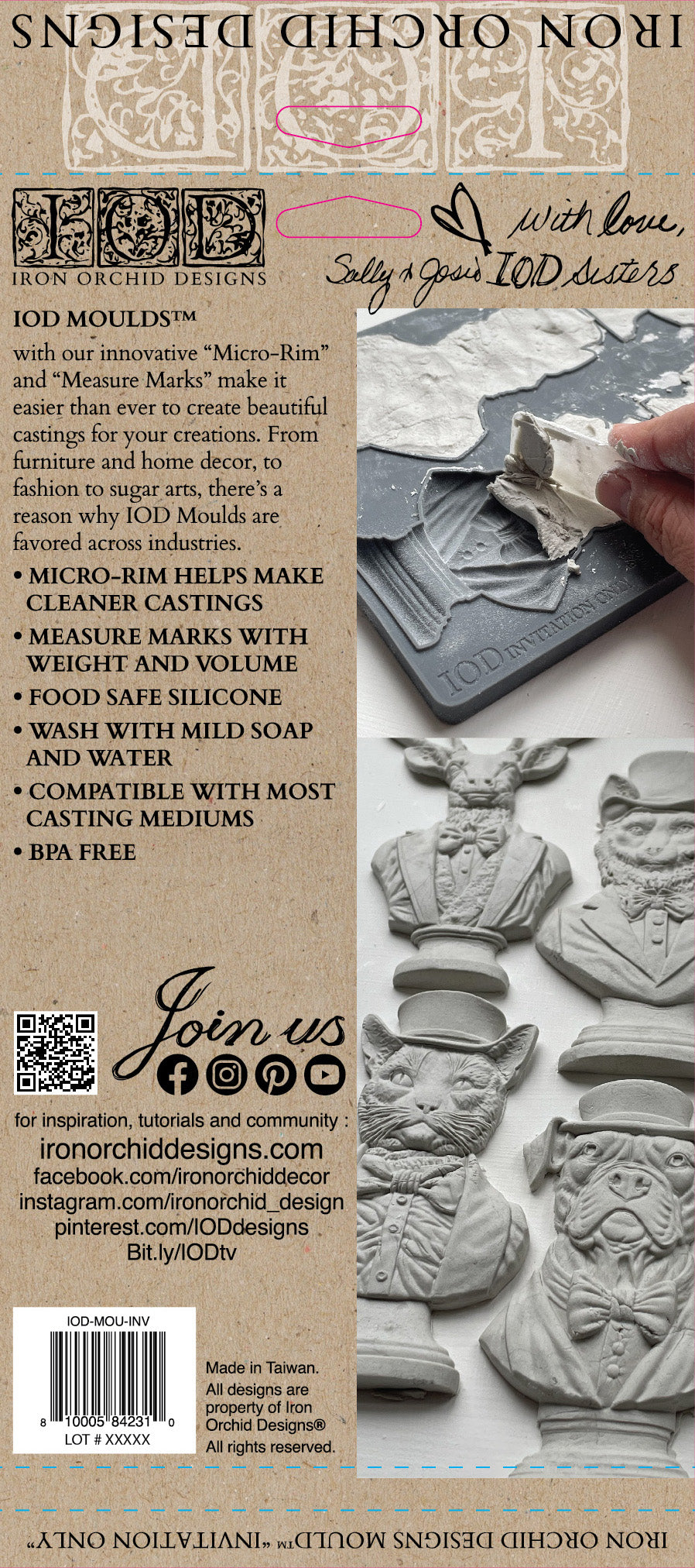 An image showing the packaging for Iron Orchid Designs Invitation Only mould