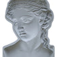 A silicone decorative mould depicting the head and part shoulders of the Greek goddess Persephone, branded by Iron Orchid Designs.