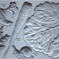 Grey silicone Spring Garden mould from Iron Orchid Designs showing a cabbage leaf, a carrot, carrot tops, a pea pod and a snail