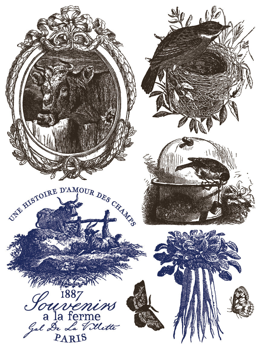 Collection of vintage-style illustrations with nature and rustic elements by Iron Orchid Designs