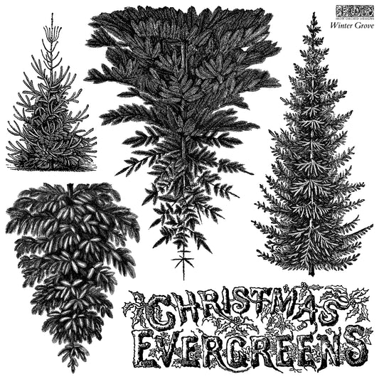 Black and white vintage-style illustration of four different Christmas evergreen trees with decorative text reading 'CHRISTMAS EVERGREENS' and 'Winter Grove' in the upper right. From Iron Orchid Designs.