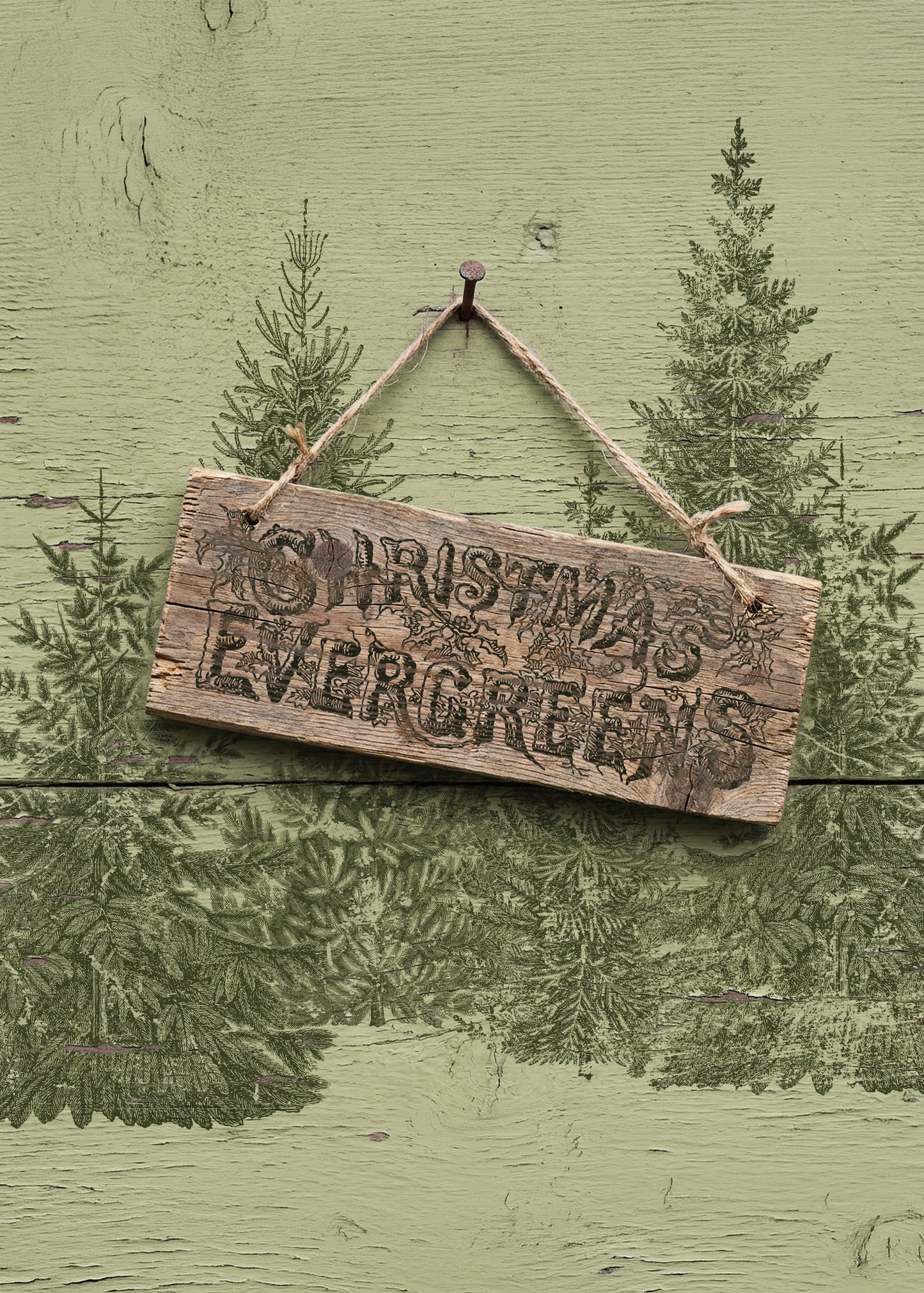 A rustic wooden hanging sign with the words “Christmas Evergreens” stamped onto the front, suspended by twine from a peg against a distressed sage green wall with painted evergreen trees. From Iron Orchid Designs.