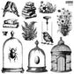 A collection of decorative stamps featuring images of birds, flowers, feathers, bird cages, and other elements, intended for use in arts and crafts by Iron Orchid Designs