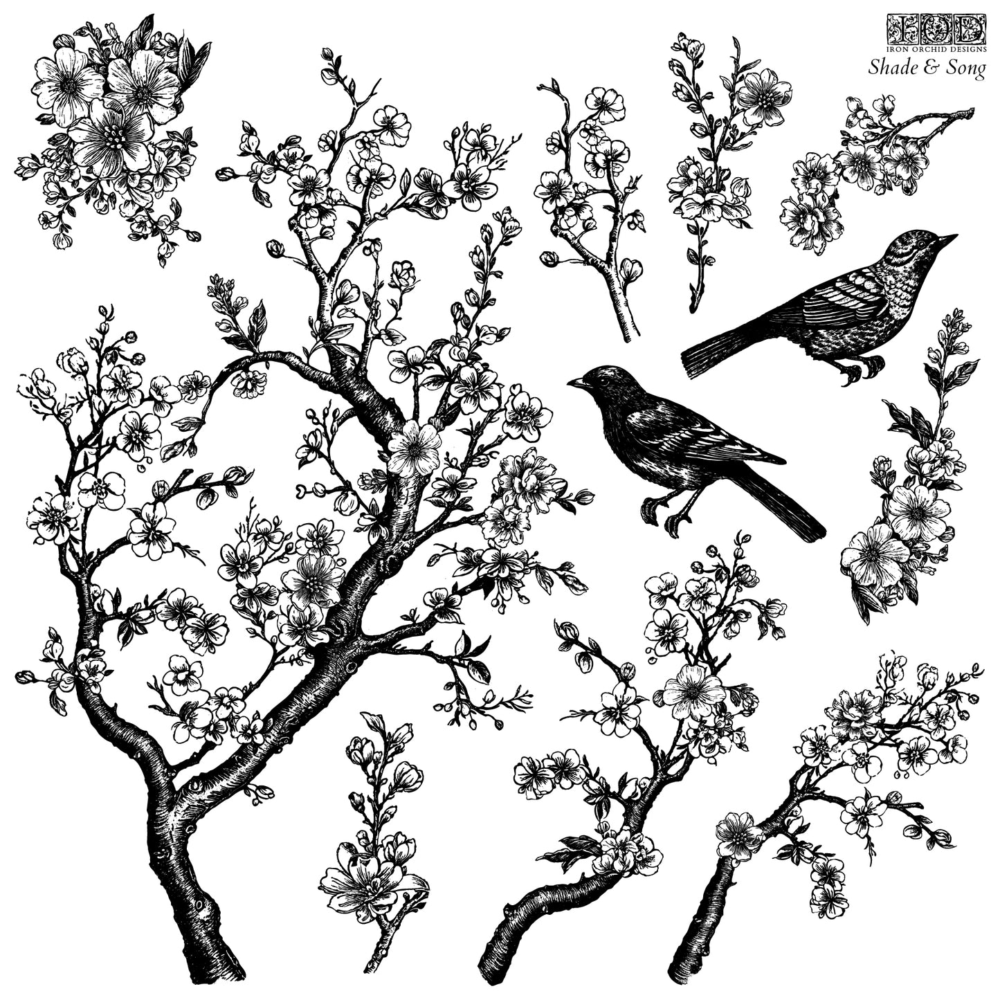 A collection of black and white illustrations of cherry blossom branches and birds, designed for use as a decor stamp by iron Orchid Designs