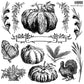 Vintage-style stamps of pumpkins, turkeys, and autumn elements on a white background.
