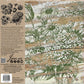 A cardboard background with instructions for how to use Iron Orchid Designs stamps next to an image of the floral images stamped in green ink on a white background