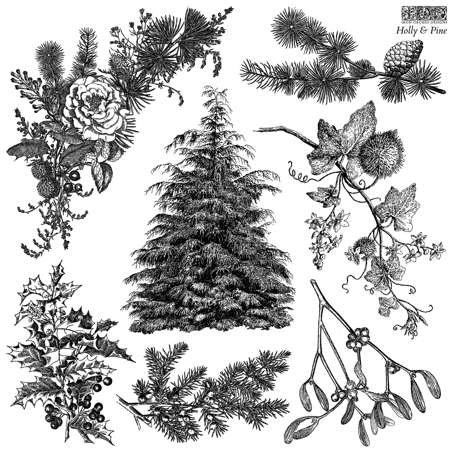 Black and white illustration of holly, pine, and other winter elements stamp on a white background.