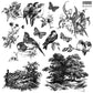 Illustrations of birds, flowers, and trees in black and white on a white background. The stamps are from Iron Orchid Designs Meadowlark stamp