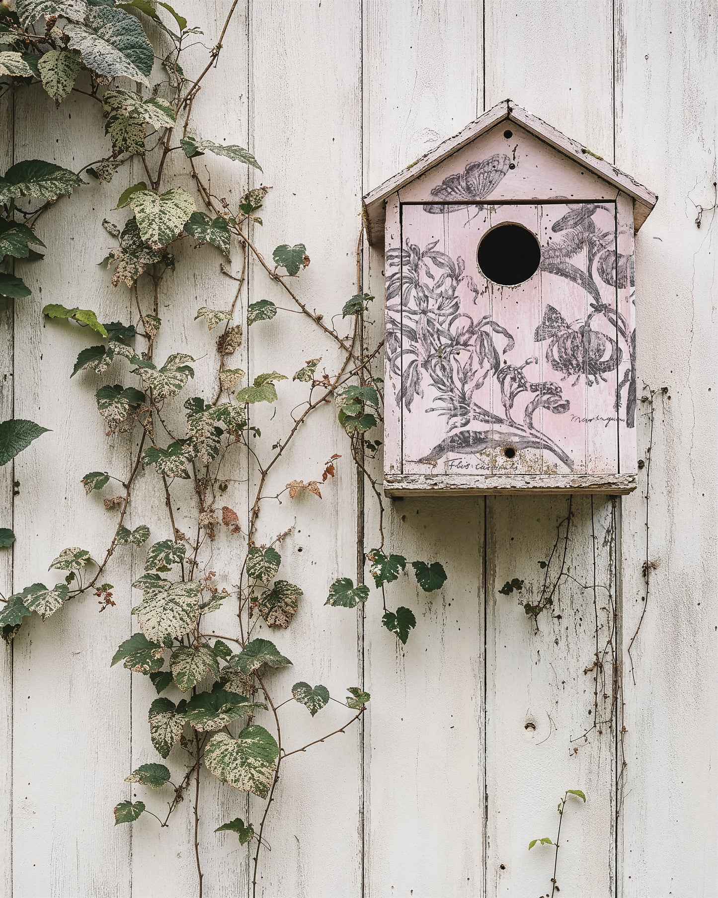 Decorative birdhouse with floral pattern on a white wooden wall with climbing plants from Iron Orchid Designs Nature's Etchings stamp.