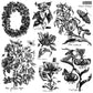 Collection of black and white botanical stamps with text labels from Iron Orchid Designs Nature's Etchings stamp.