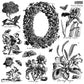 Illustrative stamps  of flowers, plants, and butterflies in black and white on a white background from Iron Orchid Designs Nature's Etchings stamp.