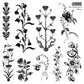 Collection of black floral illustrations on a white background from Iron Orchid Designs The Connoisseur's Library stamp