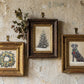 Three framed vintage-style art prints hanging on a textured, rustic plaster wall. The left frame is gold and depicts a floral wreath. From Iron Orchid Designs.