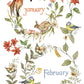 A watercolor-style decorative illustration on a white background showing floral wreaths and seasonal elements around the words January and February. Visible subjects include an orange fox, a brown rabbit, two bluebirds, red flowers, green leaves, and a small bird's nest. From Iron Orchid Designs