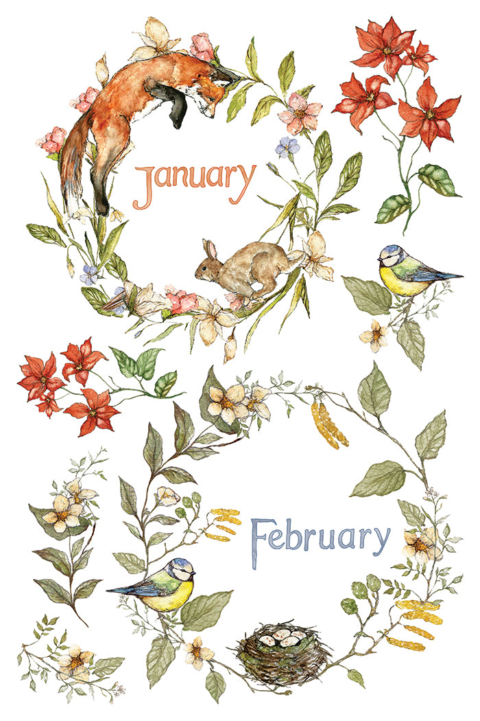 A watercolor-style decorative illustration on a white background showing floral wreaths and seasonal elements around the words January and February. Visible subjects include an orange fox, a brown rabbit, two bluebirds, red flowers, green leaves, and a small bird's nest. From Iron Orchid Designs
