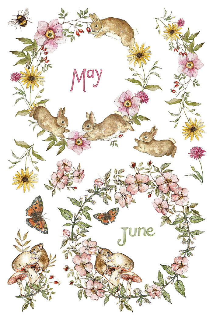 A watercolor-style botanical collage with rabbits, flowers, leaves, butterflies, and the words 'May' and 'June' on a white background. From Iron Orchid Designs