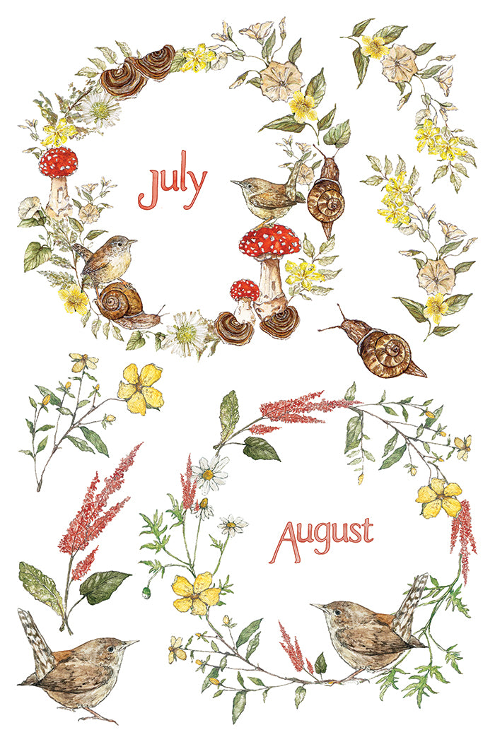 A botanical illustration on a white background showing floral wreaths and small birds, with the words 'July' and 'August' in coral script. The artwork includes yellow flowers, red-and-white mushrooms, green leaves, and brown snails. From Iron Orchid Designs