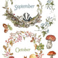 A watercolor-style autumn-themed graphic with two circular botanical frames labeled September and October. The top frame shows a badger among leaves and acorns, while the bottom frame shows a squirrel with pumpkins, berries, and mushrooms. From Iron Orchid Designs