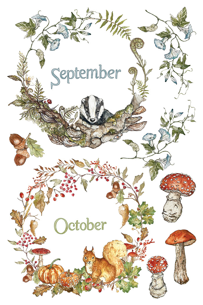 A watercolor-style autumn-themed graphic with two circular botanical frames labeled September and October. The top frame shows a badger among leaves and acorns, while the bottom frame shows a squirrel with pumpkins, berries, and mushrooms. From Iron Orchid Designs