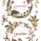 A decorative seasonal illustration on a white background showing two circular woodland wreaths, one labeled November with a hedgehog and mushrooms, and one labeled December with a fawn, holly leaves, berries, flowers, and butterflies. From Iron Orchid Designs