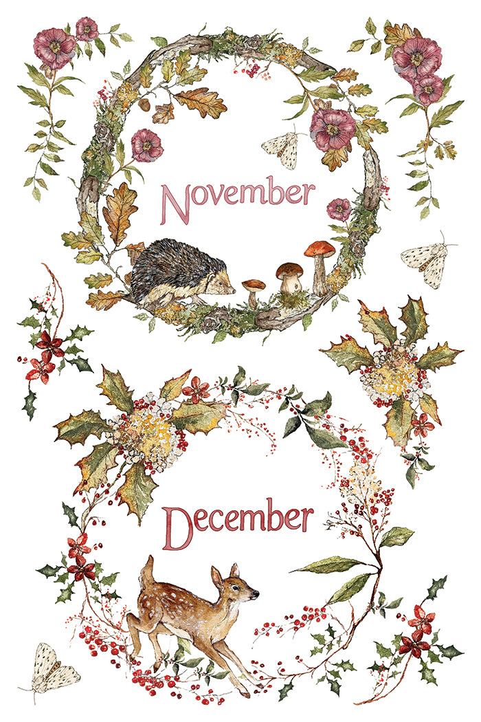 A decorative seasonal illustration on a white background showing two circular woodland wreaths, one labeled November with a hedgehog and mushrooms, and one labeled December with a fawn, holly leaves, berries, flowers, and butterflies. From Iron Orchid Designs