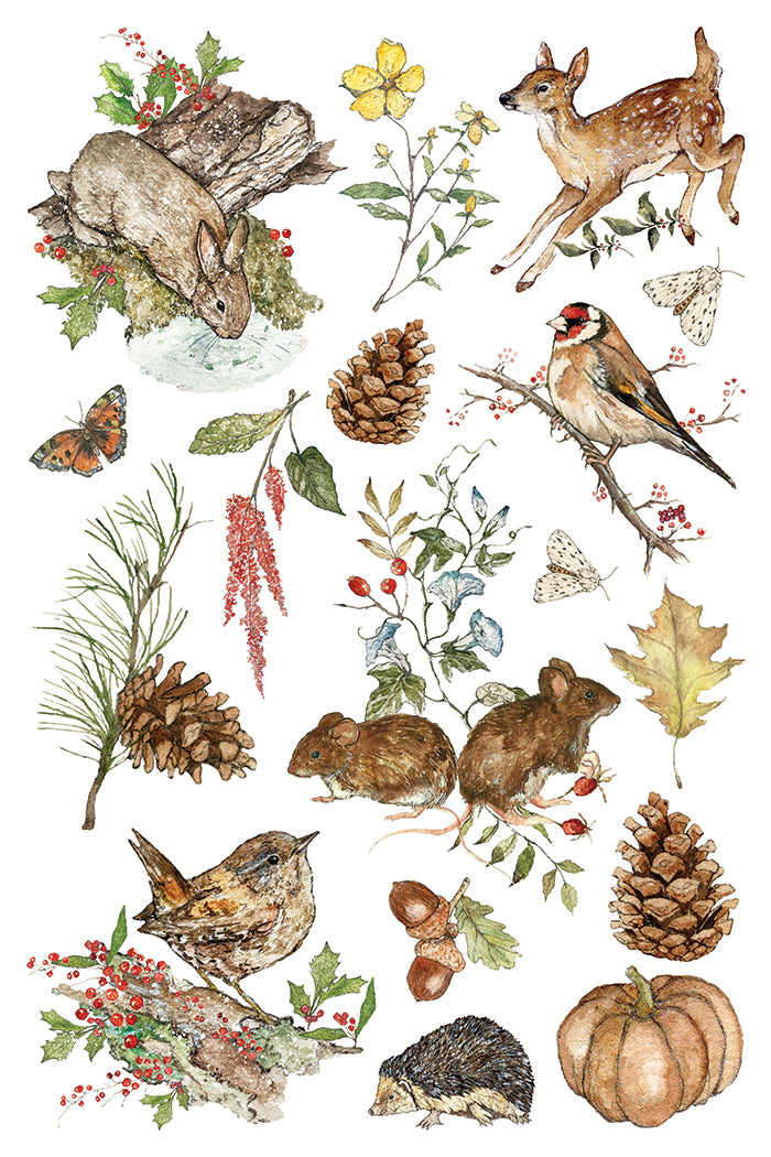A sheet of watercolor-style nature illustrations on a white background, featuring a rabbit, deer, birds, pinecones, leaves, berries, acorns, and a hedgehFrom Iron Orchid Designsog. 