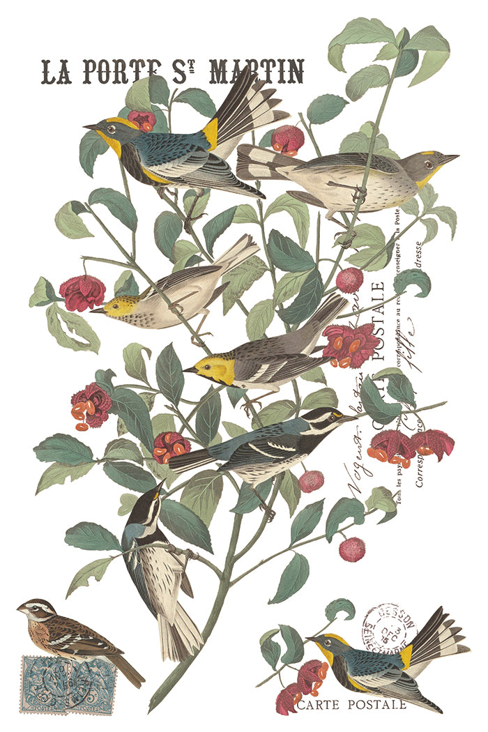 Vintage-style bird illustration print featuring several small birds perched on leafy branches with red berries, plus the text 'LA PORTE S. MARTIN' and postmark elements on a white background. From Iron Orchid Designs