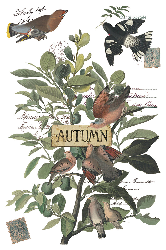 Vintage-style autumn bird illustration print featuring several brown and black birds perched among green leaves on a tree, with a central wooden sign reading "AUTUMN" and faint handwritten script in the background. From Iron Orchid Designs