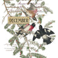 Vintage-style bird illustration print showing several birds perched on evergreen branches with handwritten letters and a postage stamp, plus labels reading December and January. From Iron Orchid Designs