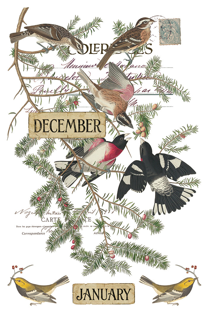 Vintage-style bird illustration print showing several birds perched on evergreen branches with handwritten letters and a postage stamp, plus labels reading December and January. From Iron Orchid Designs