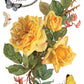 Vintage-style illustration of yellow roses with green leaves and butterflies, featuring Fonderie Debernay & Cie Paris labels by Iron Orchid Designs