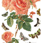 Vintage-style illustration of pink roses and butterflies with 'Banque Centrale de Commerce & d'Industrie' text by Iron Orchid Designs