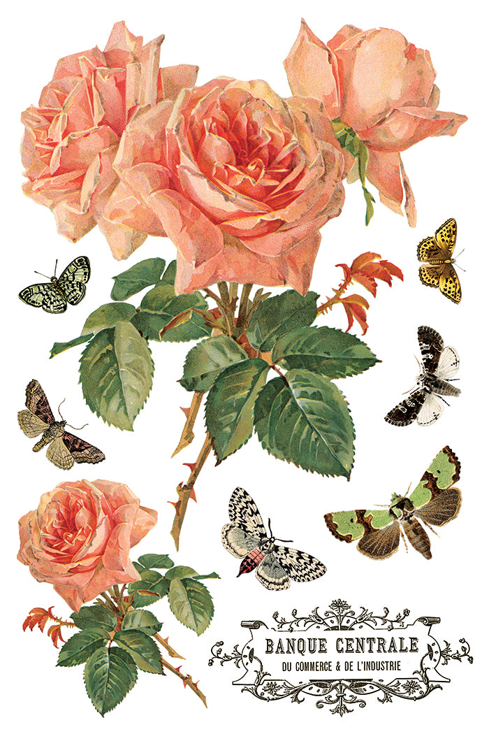Vintage-style illustration of pink roses and butterflies with 'Banque Centrale de Commerce & d'Industrie' text by Iron Orchid Designs