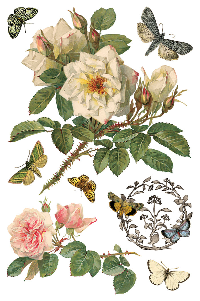 Vintage-style illustration of flowers and butterflies on a white background by Iron Orchid Designs