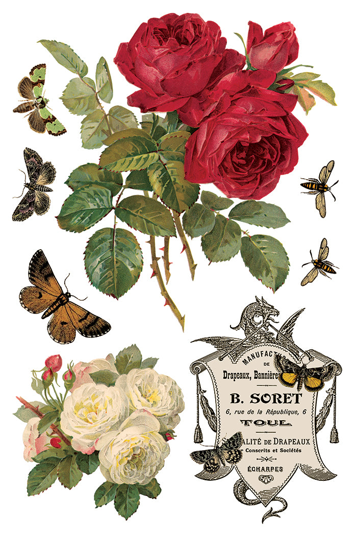 Vintage-style illustration of red roses, green leaves, and butterflies with a decorative label on a white background by Iron Orchid Designs