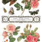 Illustration of birds, butterflies, and pink roses with 'L'Art Pour Tous' text by Iron Orchid Designs