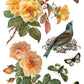 Vintage-style illustration of flowers, birds, and butterflies on a white background by Iron Orchid Designs