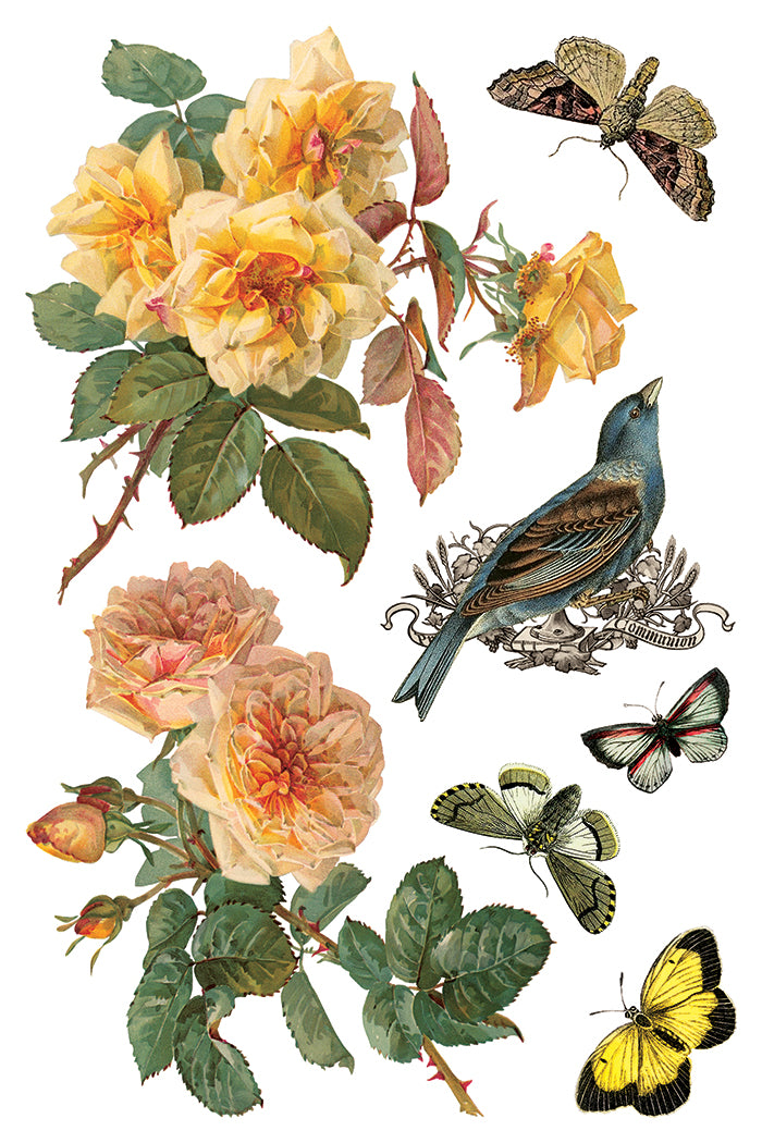 Vintage-style illustration of flowers, birds, and butterflies on a white background by Iron Orchid Designs