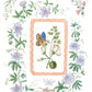 Decorative floral border with a butterfly and text on a white background by Iron Orchid Designs