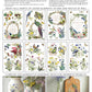 Sheet of decorative elements with birds, flowers, and text for crafting from Iron Orchid Designs