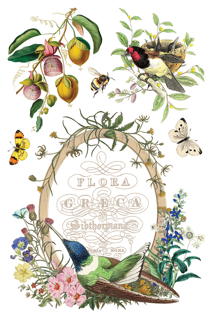 Vintage-style illustration with birds, flowers, and text on a white background from Iron Orchid Designs