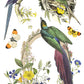 Illustration of birds, a nest, and butterflies with floral elements on a white background from Iron Orchid Designs