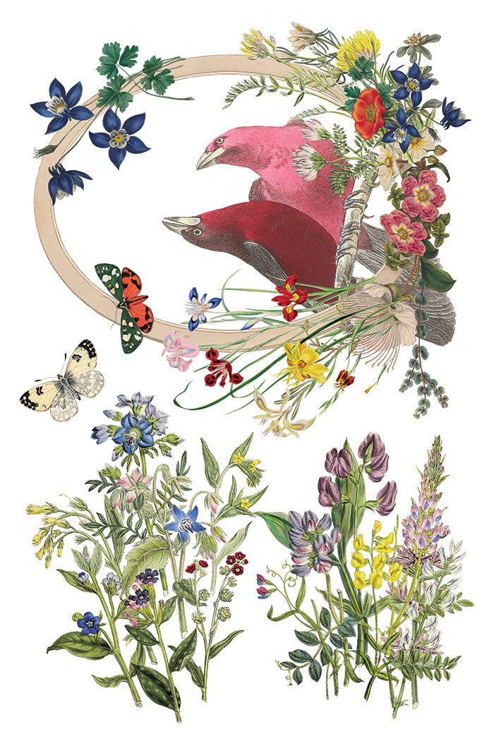 Decorative illustration of birds and flowers in a circular arrangement from Iron Orchid Designs