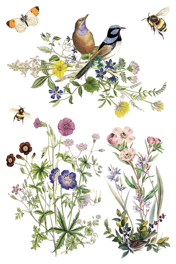 Illustration of birds, butterflies, and bees among flowers on a white background Iron Orchid Designs