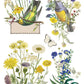 Illustrations of birds, butterflies, and flowers on a white background Iron Orchid Designs