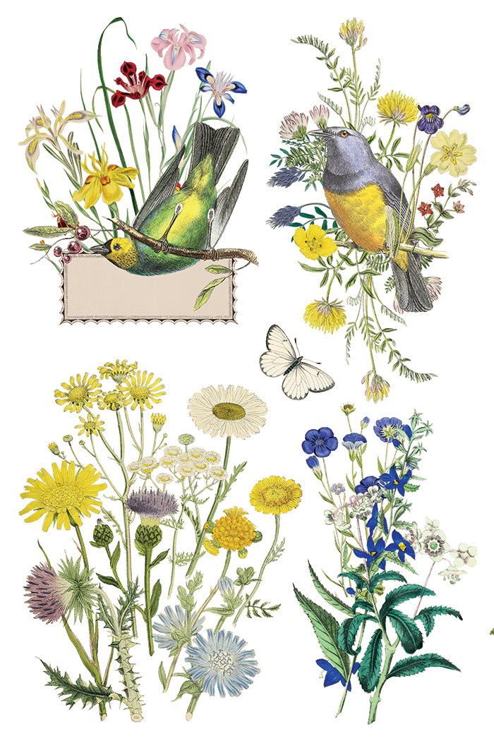 Illustrations of birds, butterflies, and flowers on a white background Iron Orchid Designs